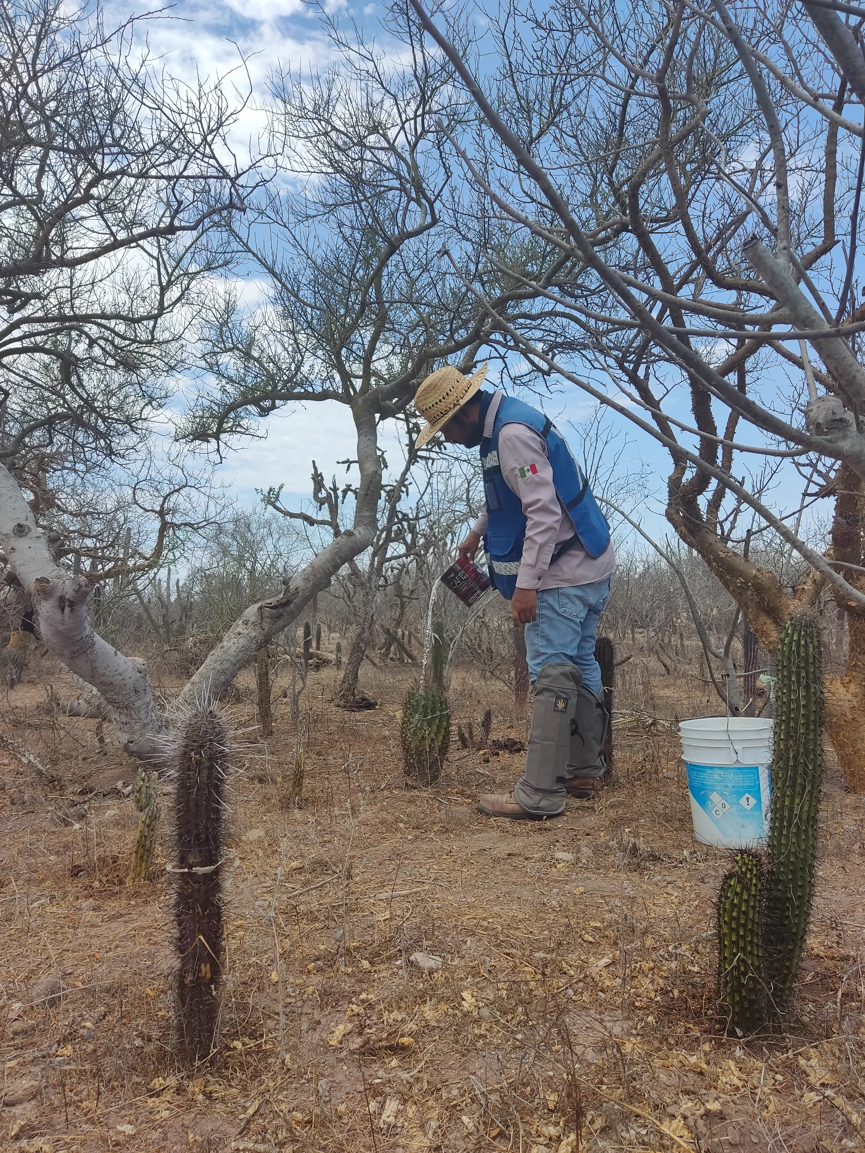 Documentación de especies rescatadas